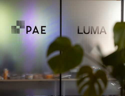 Professional Spotlight: Karina Hershberg of PAE